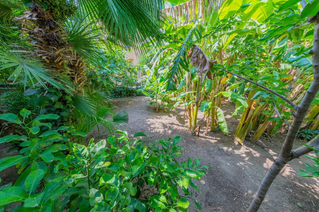 Villa Mezzarancia Palerme Extérieur photo